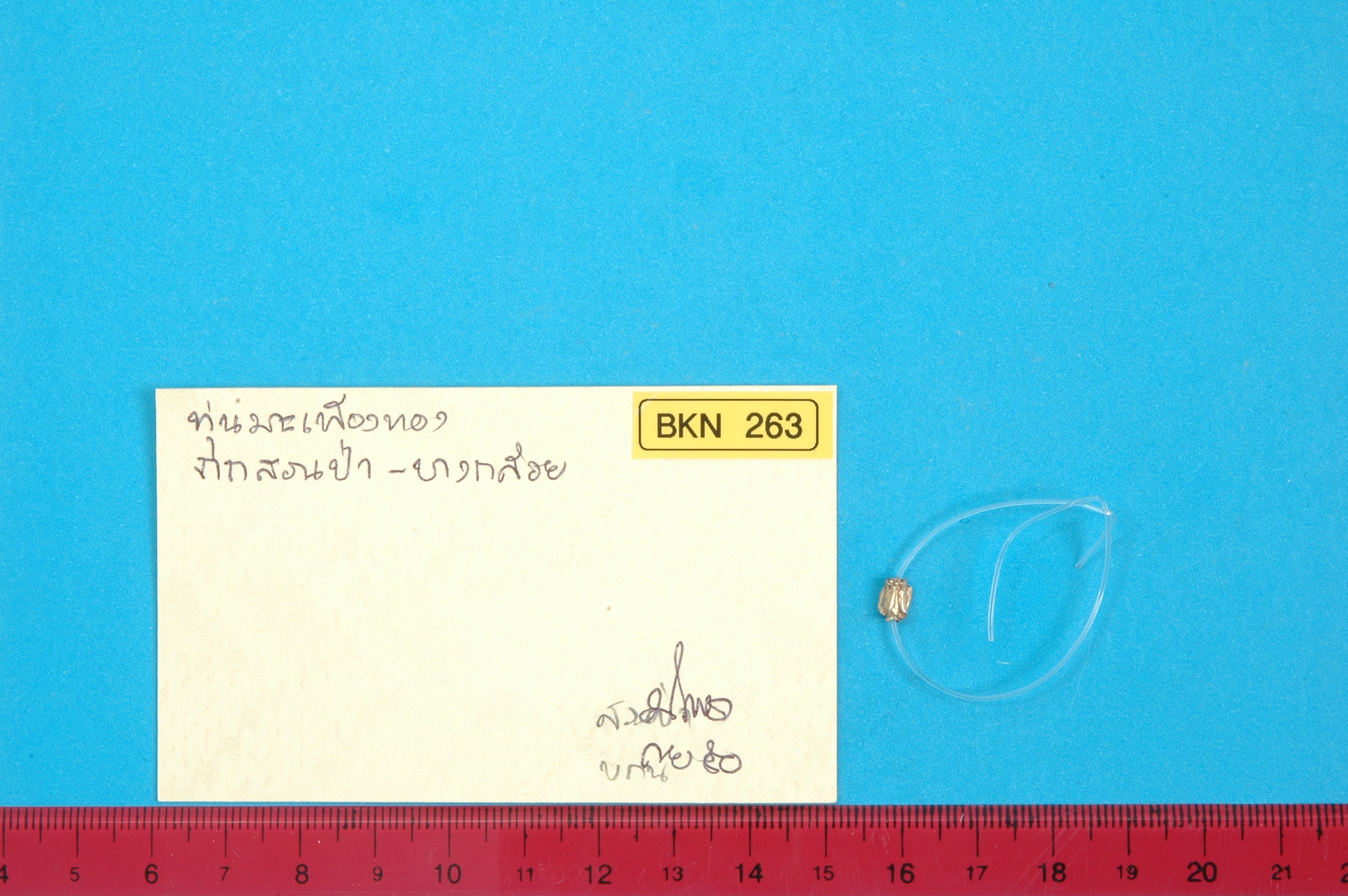 T_BKN 263.jpg